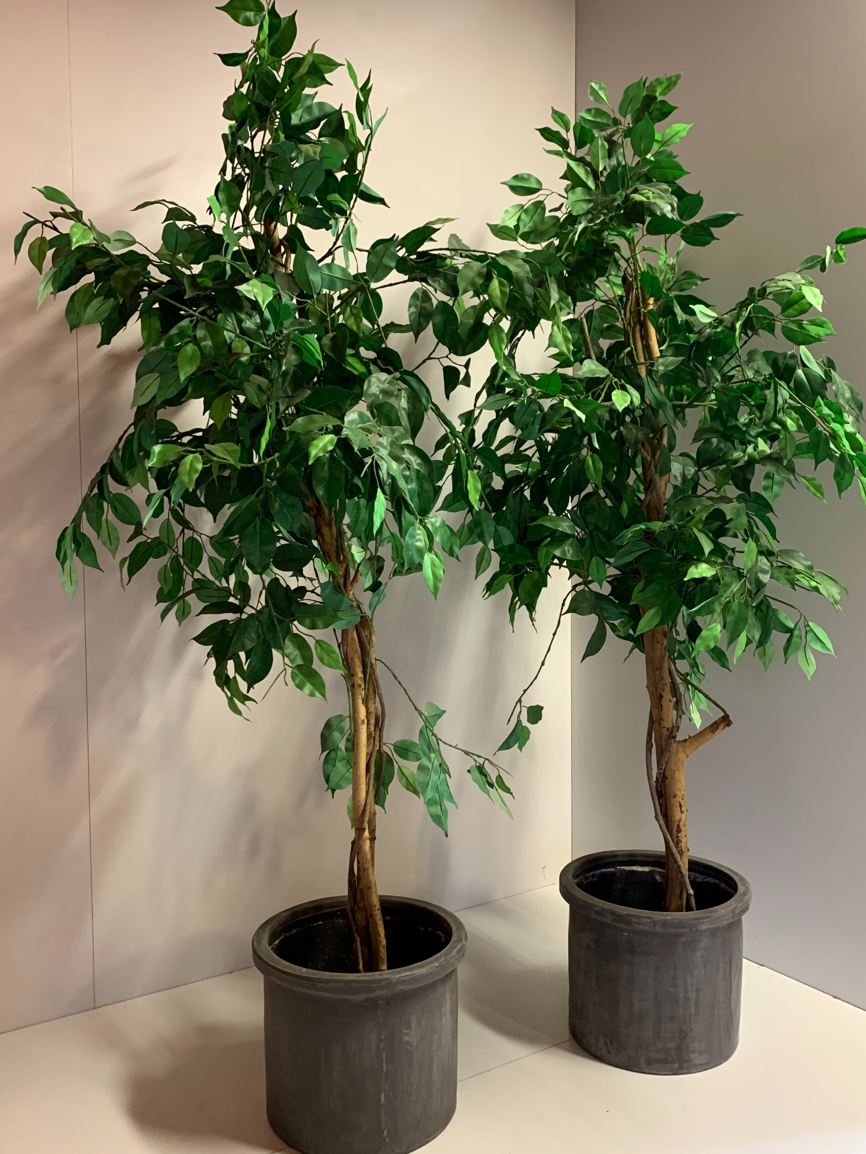 Kunst Plant In Pot 